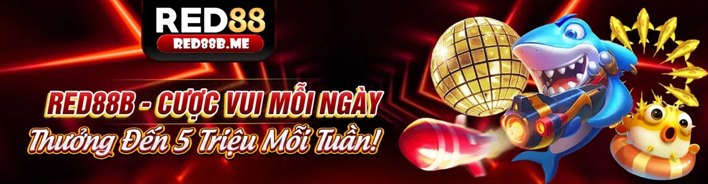 Ưu đãi và khuyến mãi thể thao độc quyền
